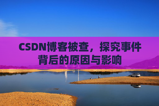 CSDN博客被查，探究事件背后的原因与影响